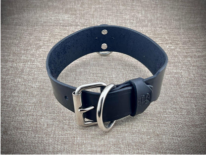 Black leather dog collar with silver buckle on a textured gray background