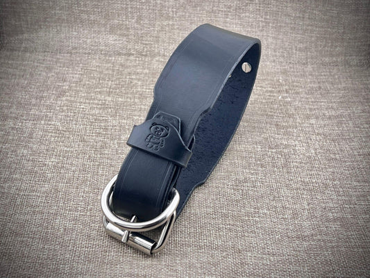 Black leather collar with steel buckle on a textured gray background